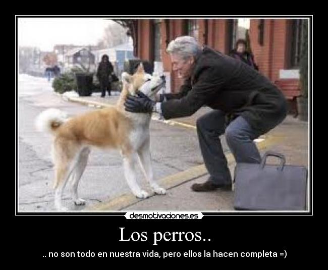 Los perros.. - 