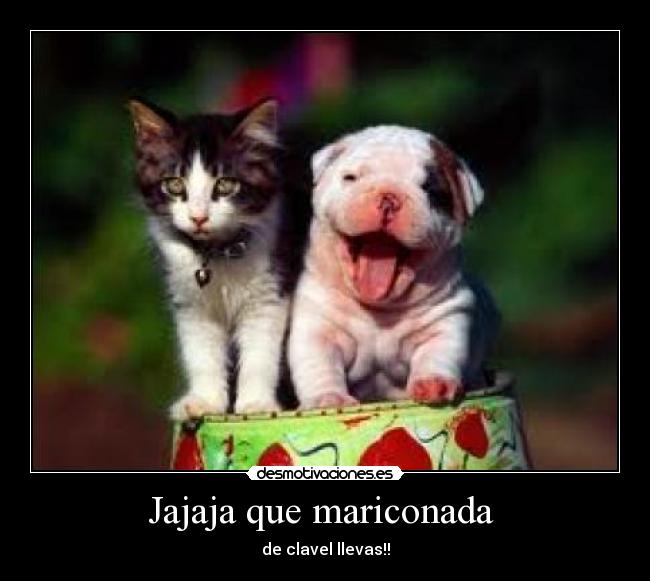 Jajaja que mariconada - de clavel llevas!!