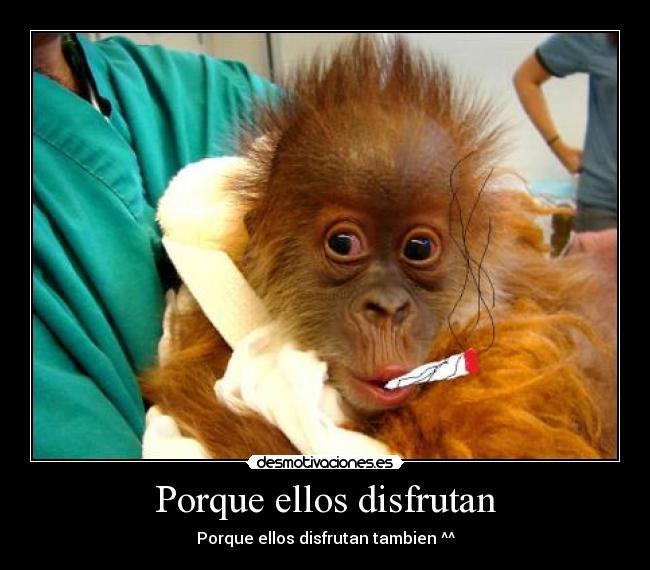 Porque ellos disfrutan - 