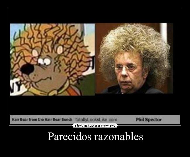 Parecidos razonables -