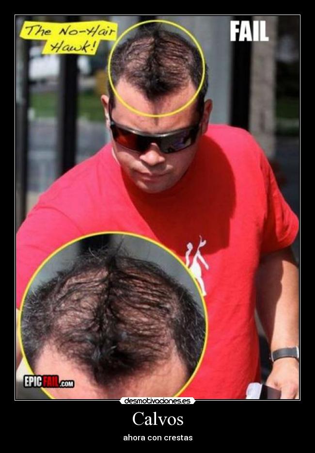carteles calvo cresta desmotivaciones