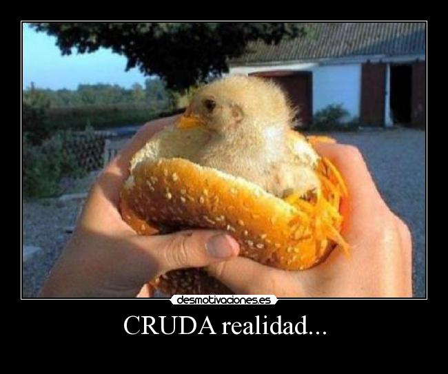 CRUDA realidad... -