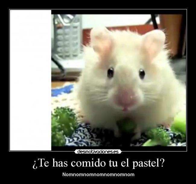 ¿Te has comido tu el pastel? - Nomnomnomnomnomnomnom