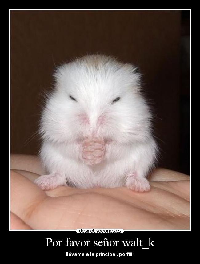 Por favor señor walt_k - 