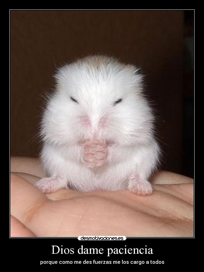 Dios dame paciencia -