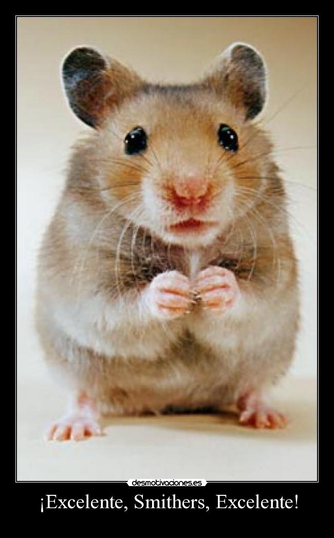 carteles jacoboo desmotivaciones