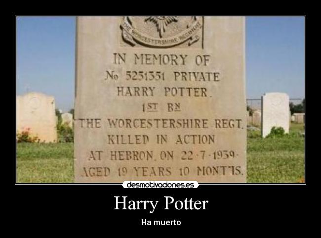carteles harry potter desmotivaciones