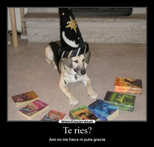 Te ries? - Ami no me hace ni puta gracia
