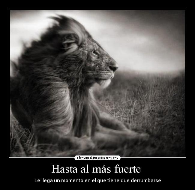 Hasta al más fuerte -