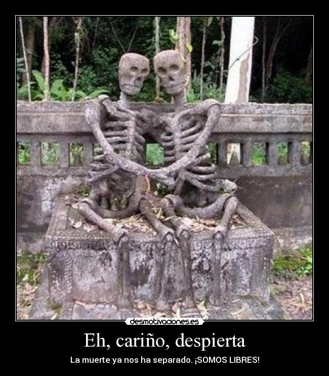 Eh, cariño, despierta - 