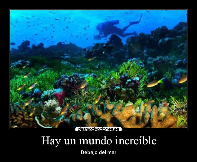 Hay un mundo increíble -