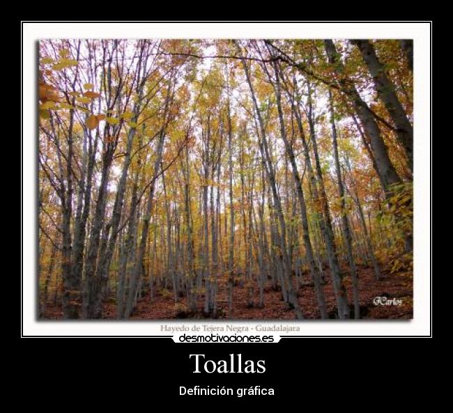Toallas - Definición gráfica