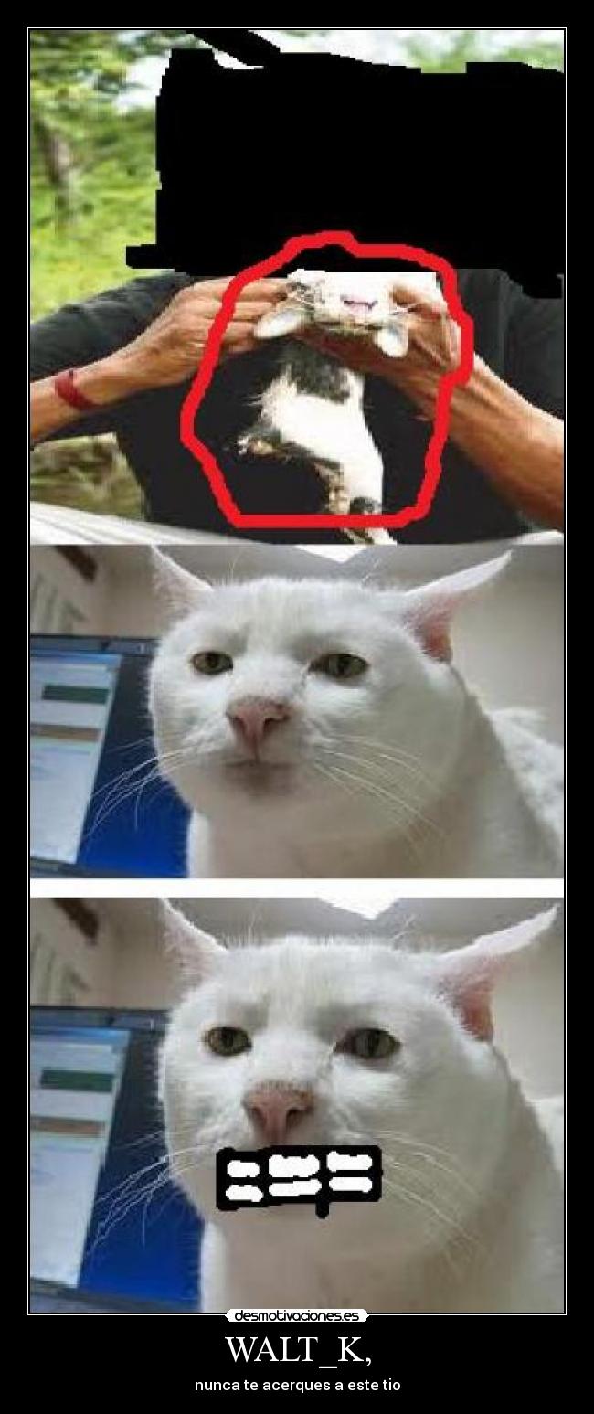 WALT_K, - nunca te acerques a este tio