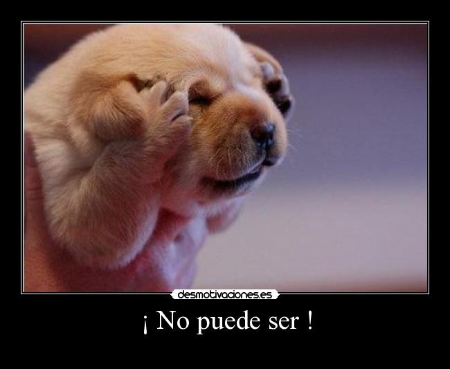 carteles perro desmotivaciones