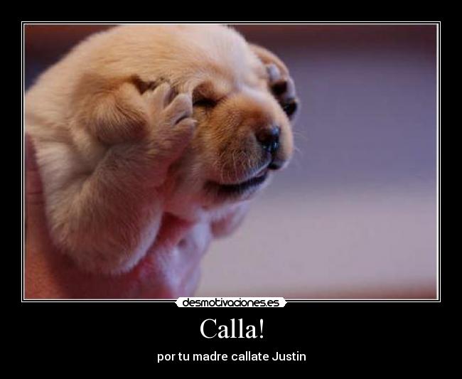 Calla! - por tu madre callate Justin