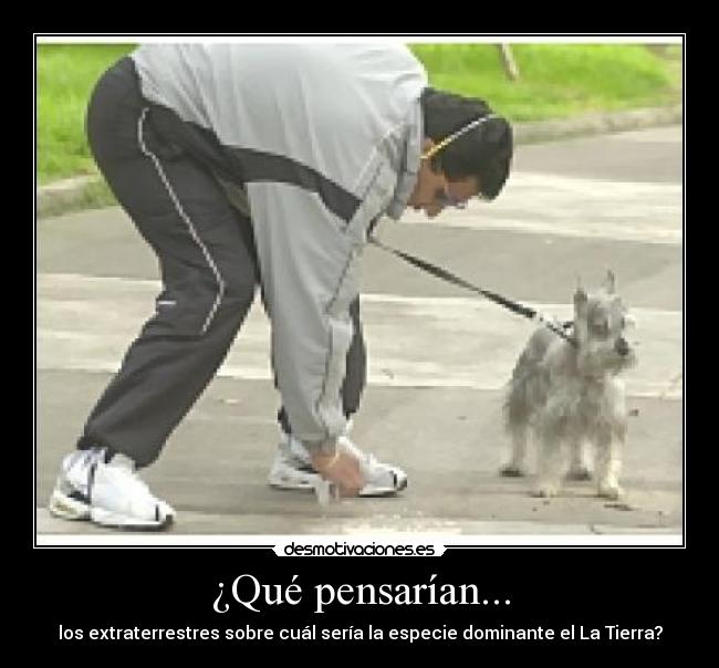 ¿Qué pensarían... - 