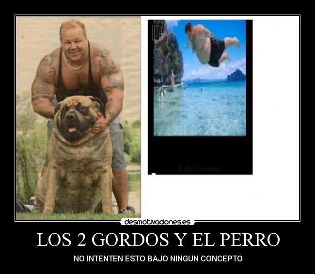 LOS 2 GORDOS Y EL PERRO - 