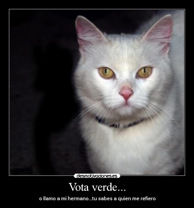 Vota verde... -