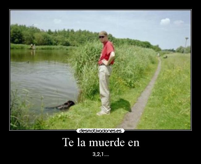 Te la muerde en - 3,2,1....
