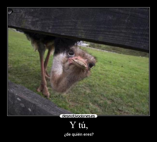 Y tú, - ¿de quién eres?