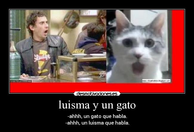 luisma y un gato - -ahhh, un gato que habla.
-ahhh, un luisma que habla.