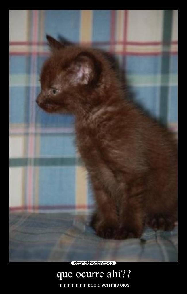 que ocurre ahi?? - mmmmmmm peo q ven mis ojos