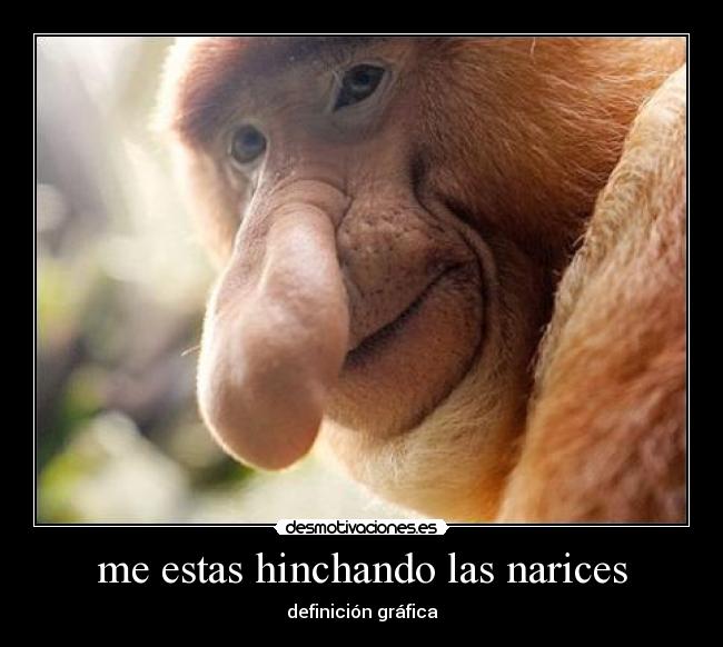 me estas hinchando las narices - 