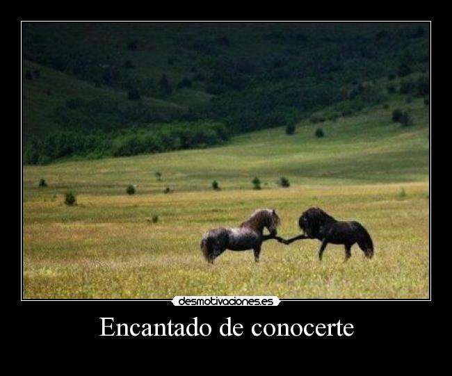 Encantado de conocerte - 