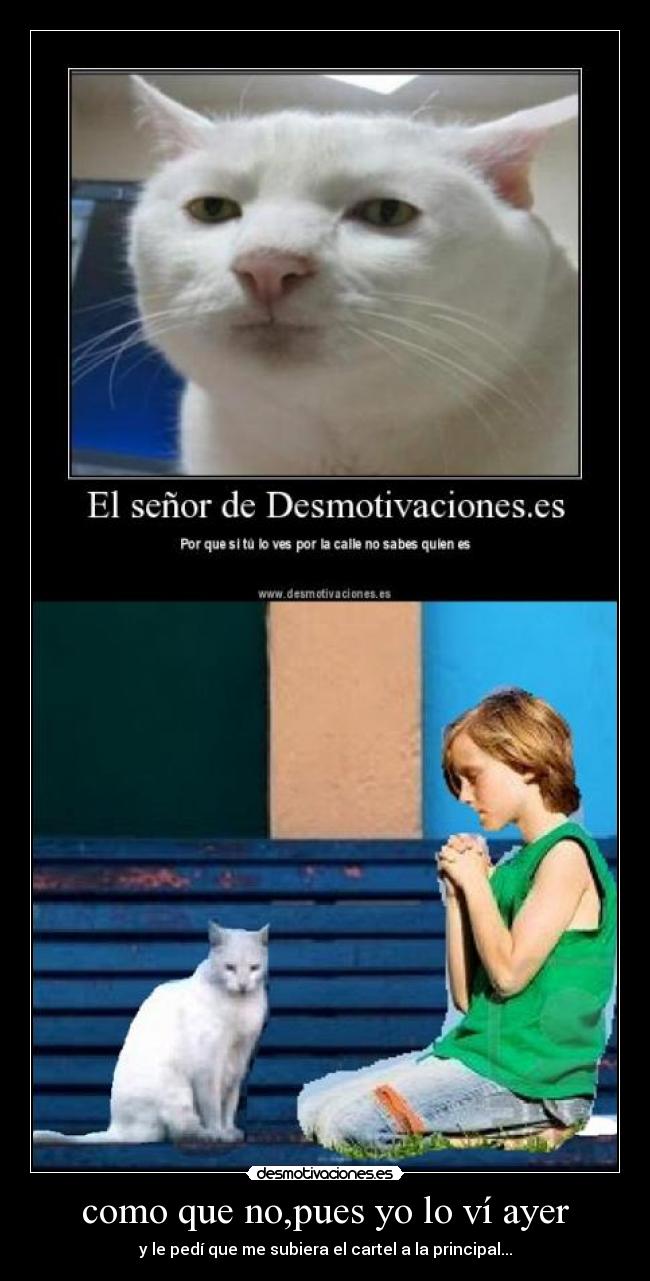 como que no,pues yo lo ví ayer - y le pedí que me subiera el cartel a la principal...