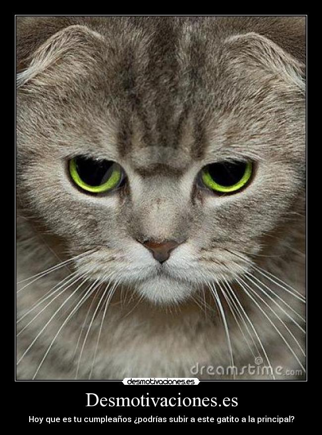 Desmotivaciones.es - 