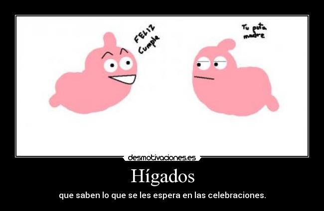 Hígados - que saben lo que se les espera en las celebraciones.