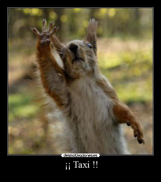 ¡¡ Taxi !! - 