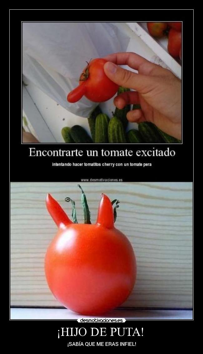 carteles pipas desmotivaciones