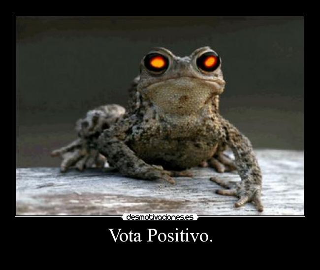 Vota Positivo. - 