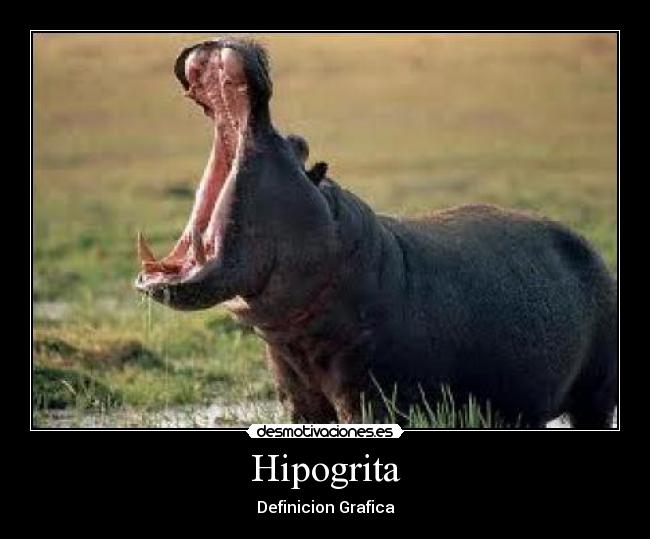 Hipogrita - Definicion Grafica