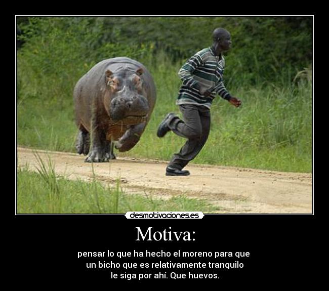 Motiva: - 