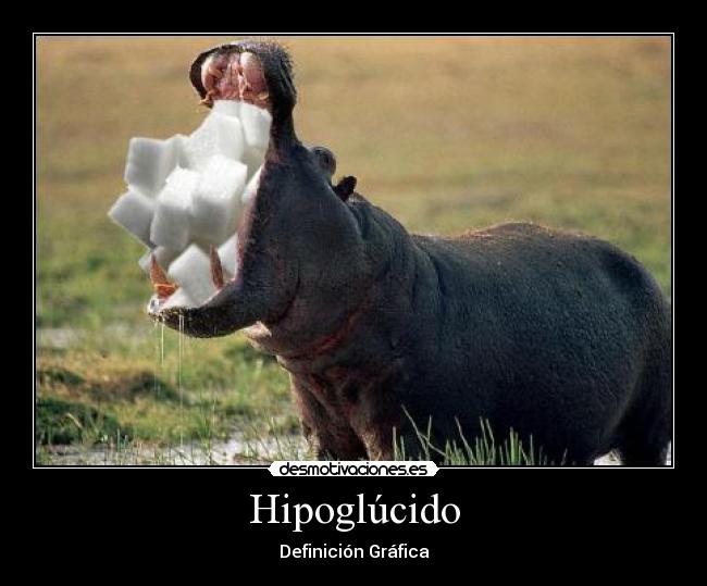 Hipoglúcido - Definición Gráfica