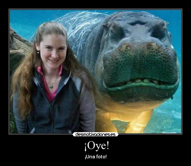 ¡Oye! - ¡Una foto!