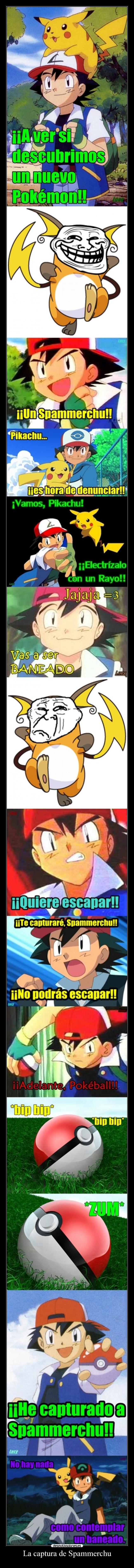 carteles captura spammerchu pokemon pokemon ash ketchum lucy humor pikachu desmotivaciones