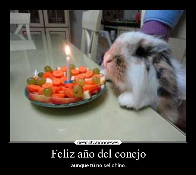 Feliz año del conejo - aunque tú no sel chino.