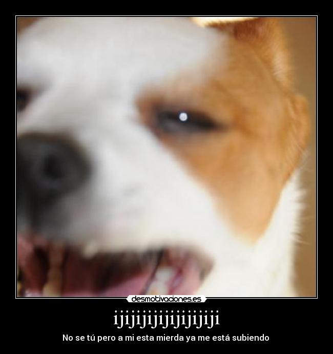 ijijijijijijijijiji -