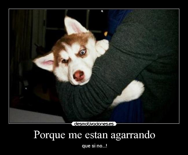Porque me estan agarrando - que si no...!