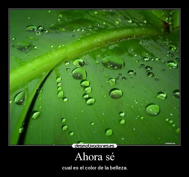 carteles verde desmotivaciones