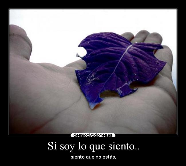 Si soy lo que siento.. - siento que no estás.