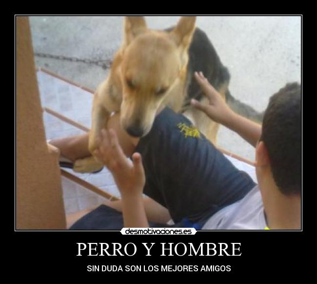 PERRO Y HOMBRE -