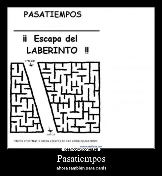 Pasatiempos - ahora también para canis