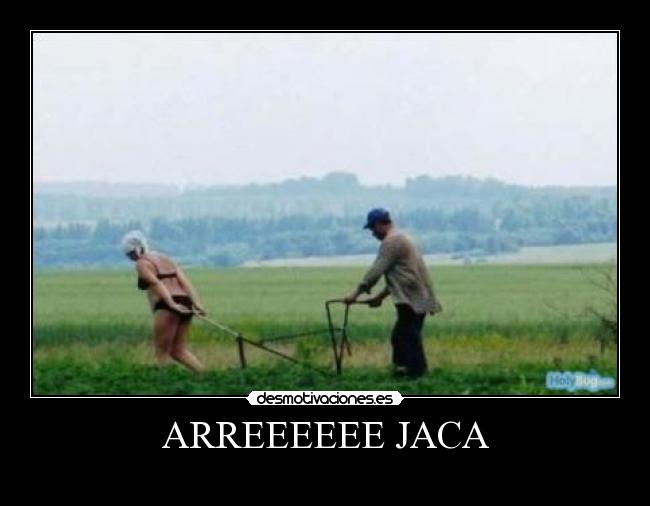 carteles desmotivacion desmotiva motiva desmotivaciones