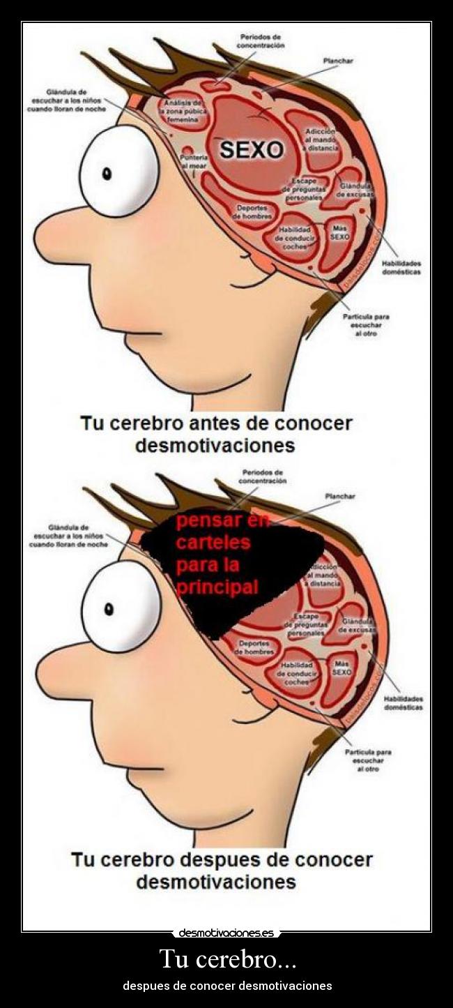 Tu cerebro... -