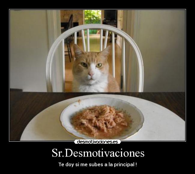 carteles doy desmotivaciones