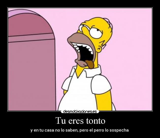 Tu eres tonto -